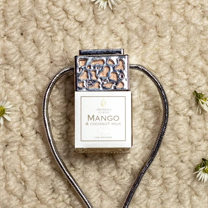 Silver Top Car Diffuser – Elegant Hanging Car Fragrance