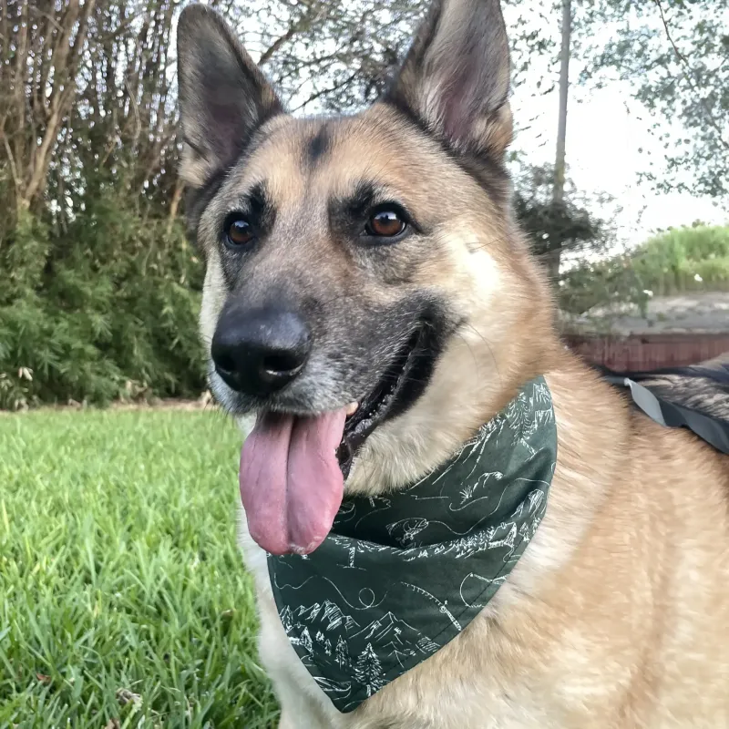Lake Life Dog Bandana with Snaps