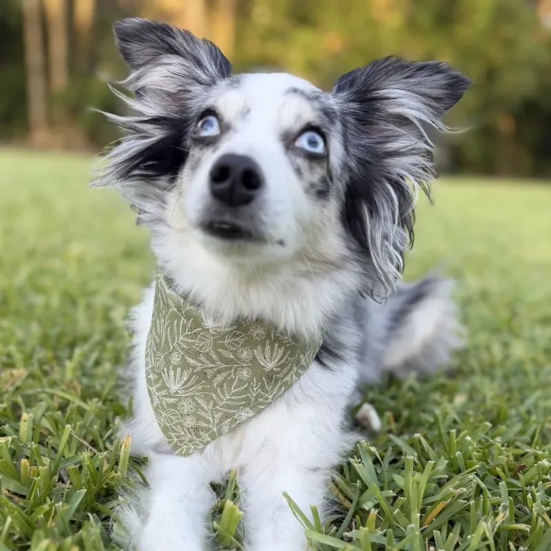 Nature Lover Dog Bandana With Snaps