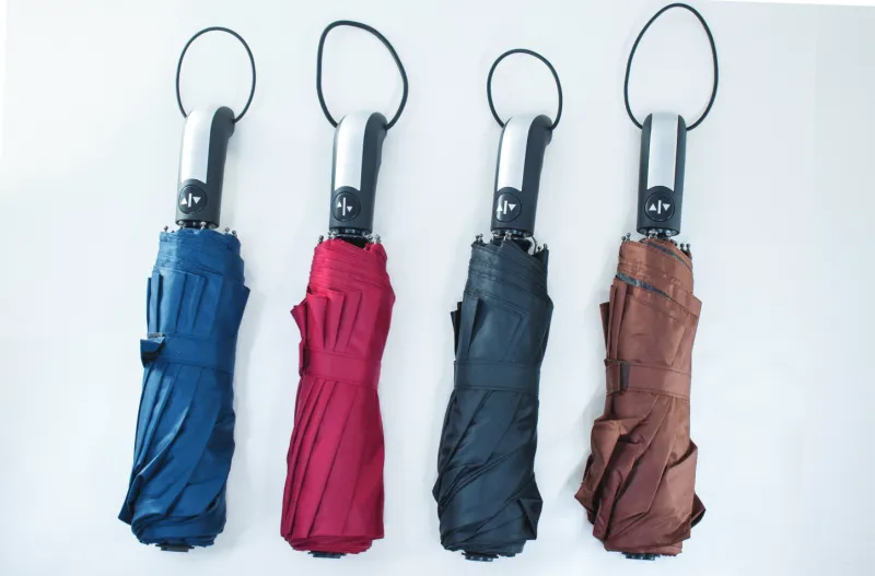 Ladies Sliver Handle Umbrellas
