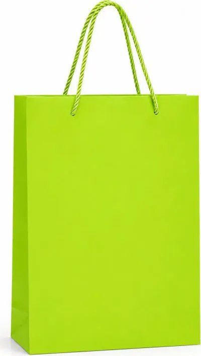 SMALL MATTE FINISH GIFT BAGS