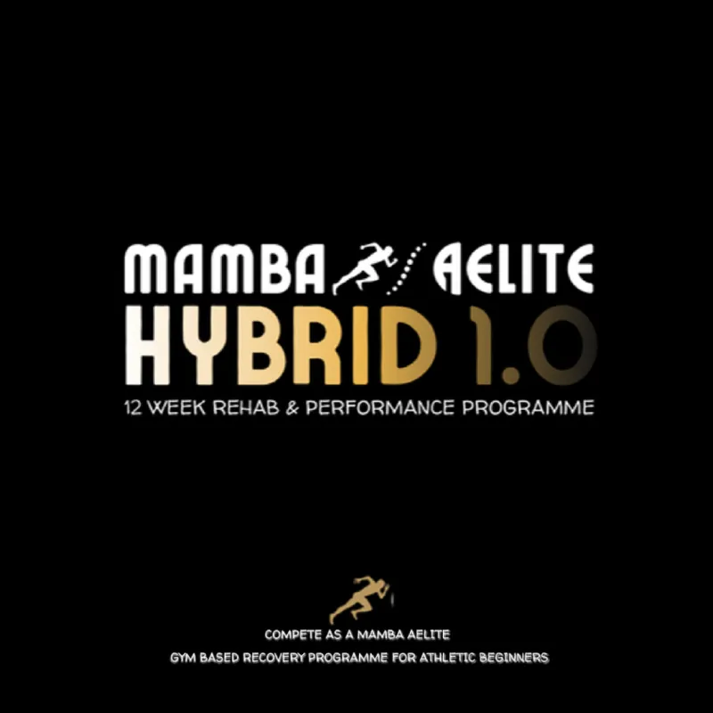 Hybrid 1.0 Foundation (12-Week eBook Programme)