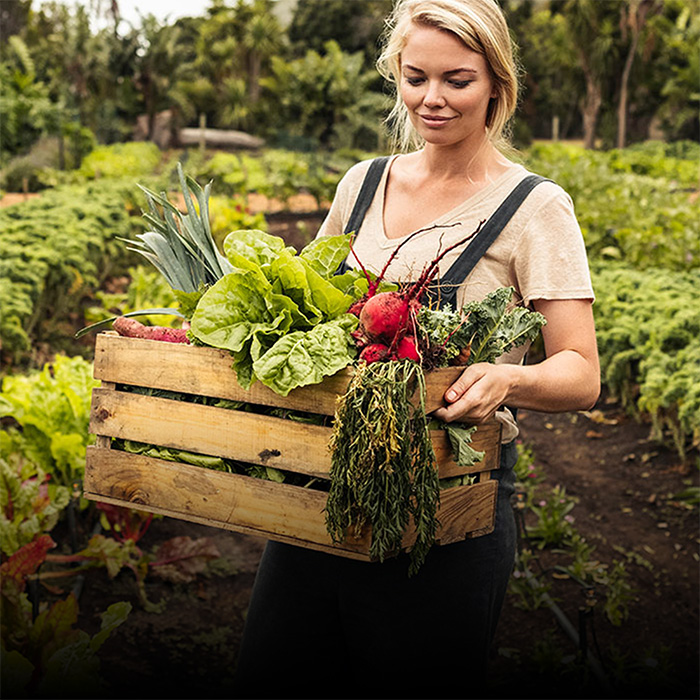 Healthy Soil