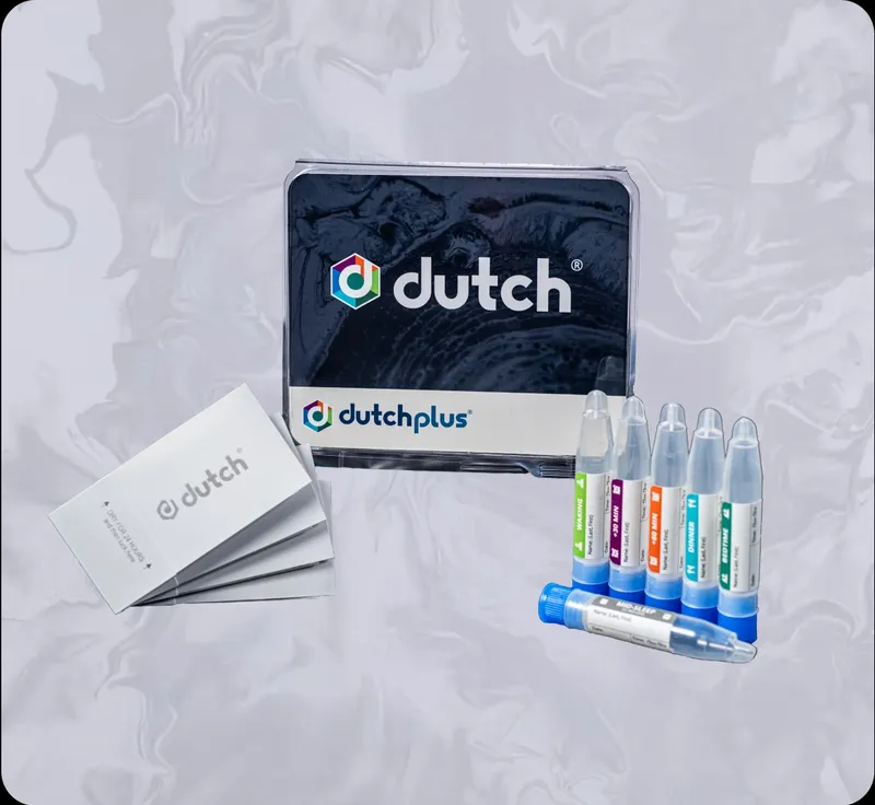 Dutch Plus