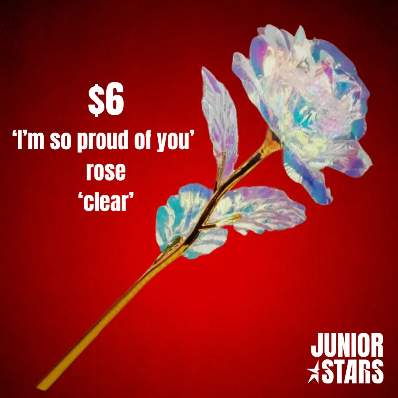 Junior Stars 'I'm so proud of you' Rose
