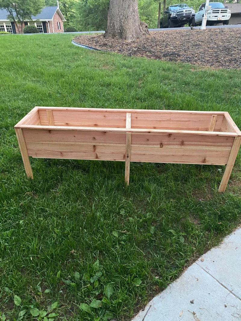 planter 3