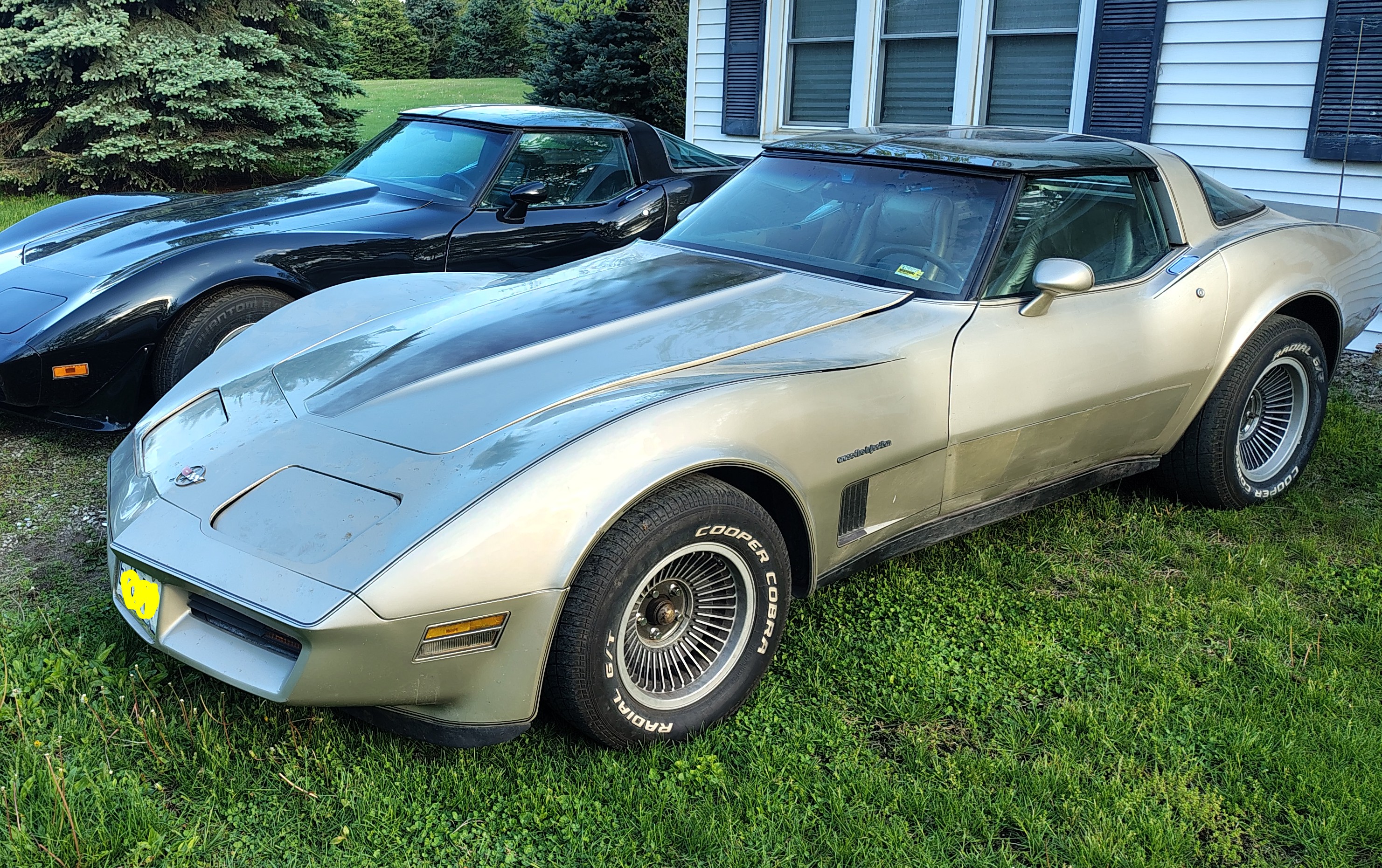 1982 Corvette Collector Edition 