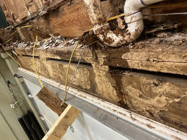 Wood rot repair