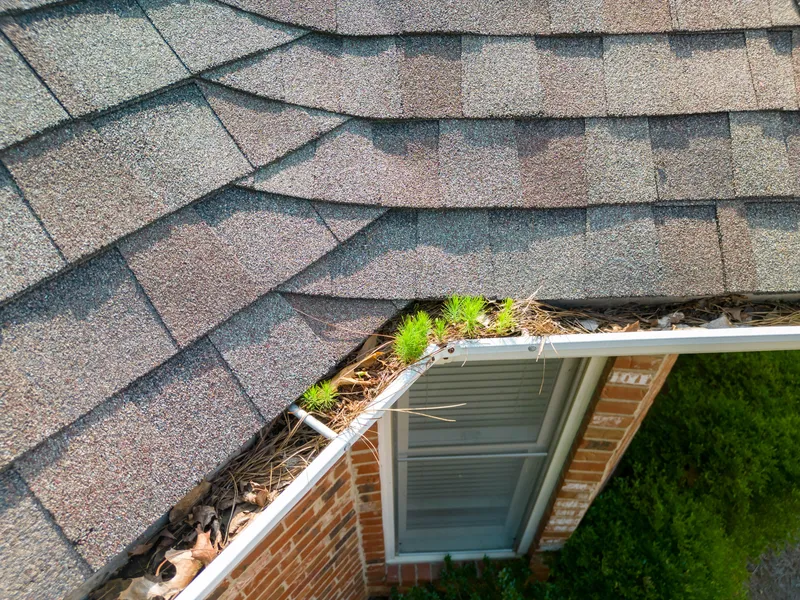 Gutter cleaning