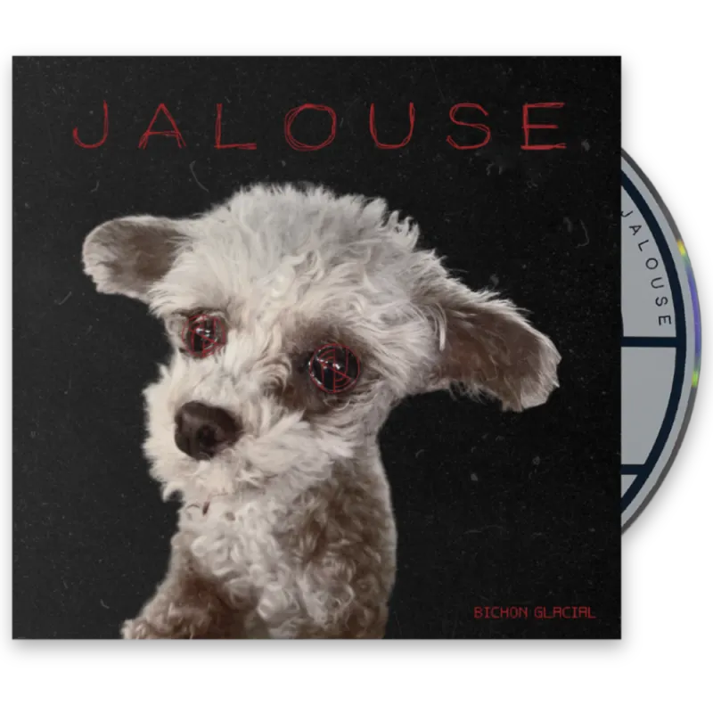 CD - Bichon Glacial