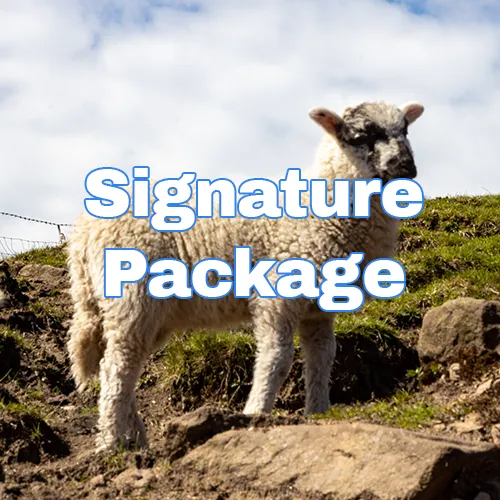 Signature Package - Launch Venues