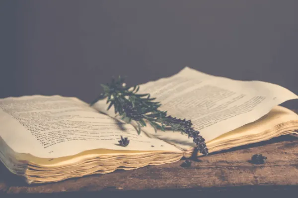 Scriptie ‘Chronische rouw bij scheiding’