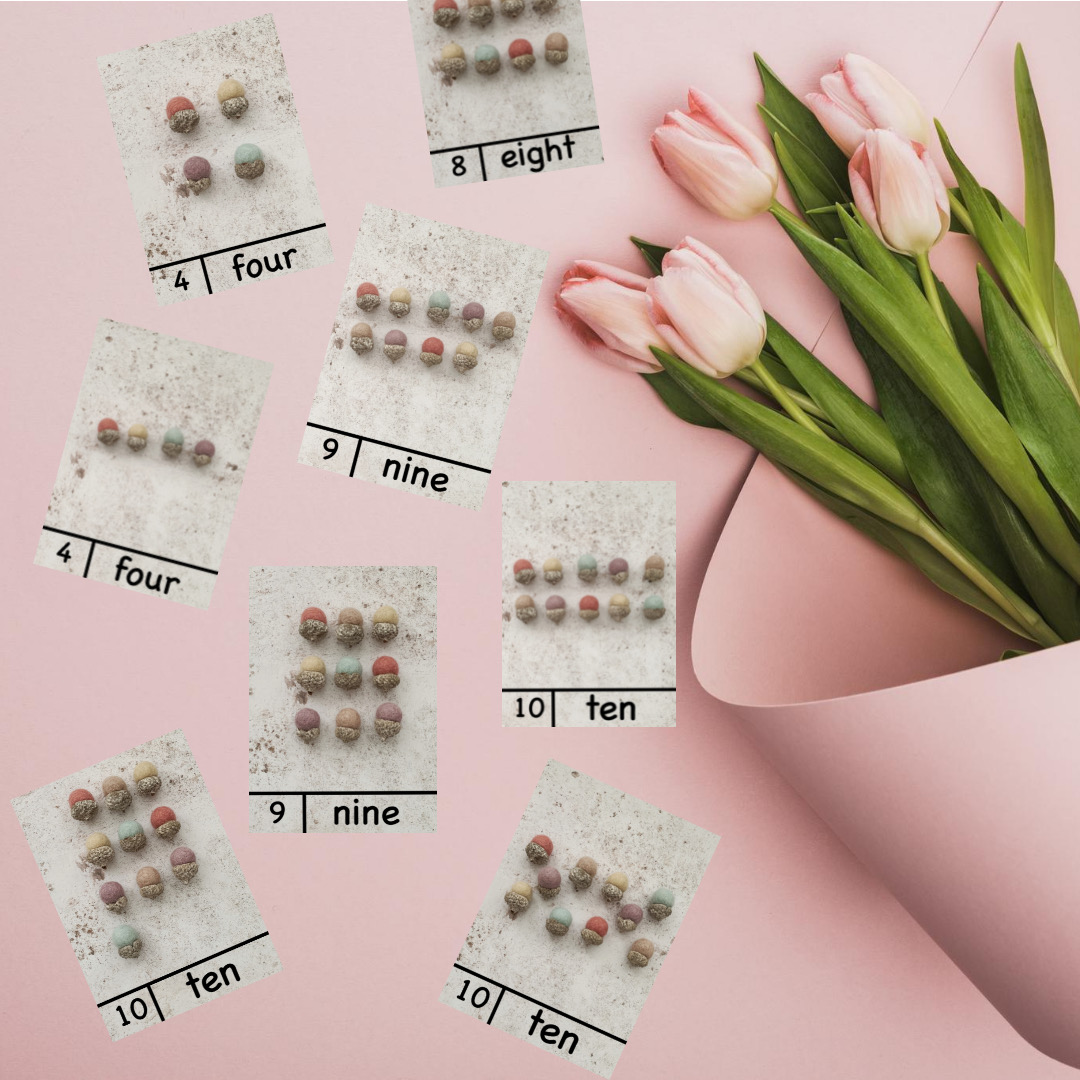 Pastel acorns number cards to 10 download product