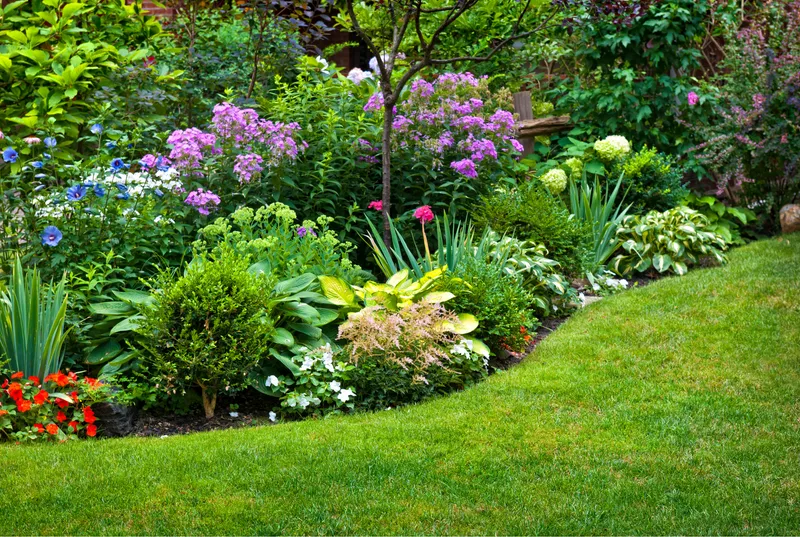 Freshly planted garden bed