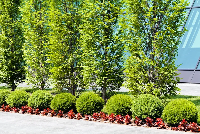 Landscaped commercial property