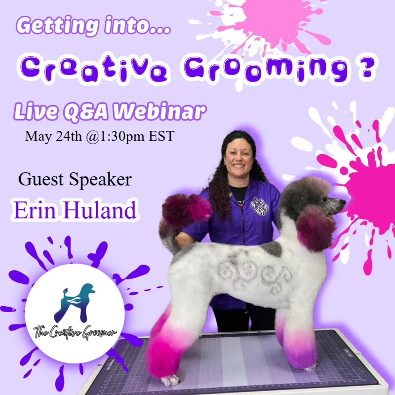 Getting into Creative Grooming? Webinar with Erin Huland