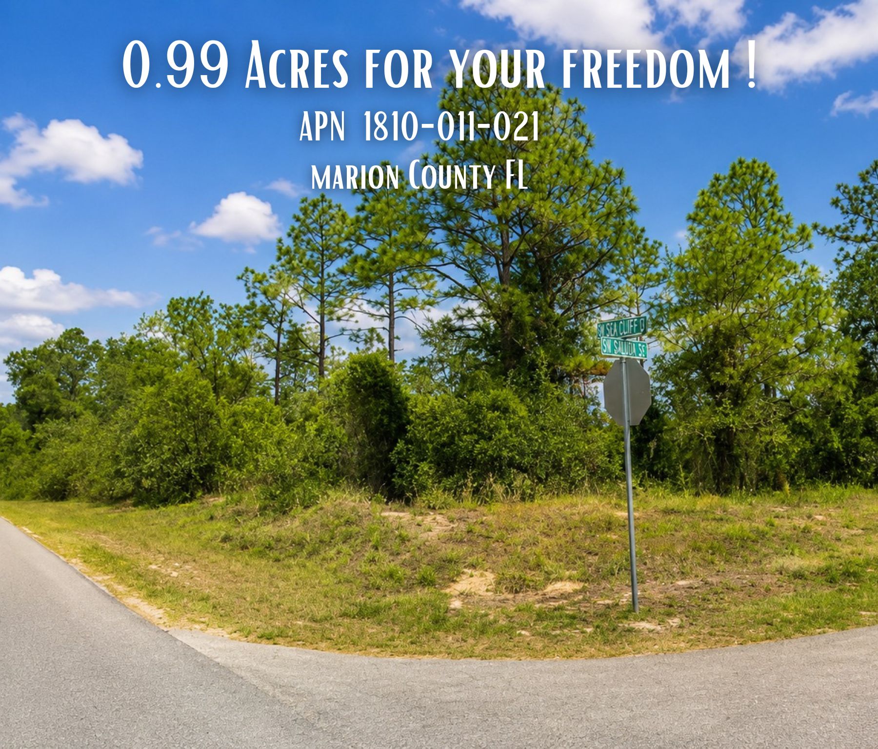 🌴 Own the Corner! Nearly 1 Acre Florida Paradise – Only $22,500! Call Us Now! 
