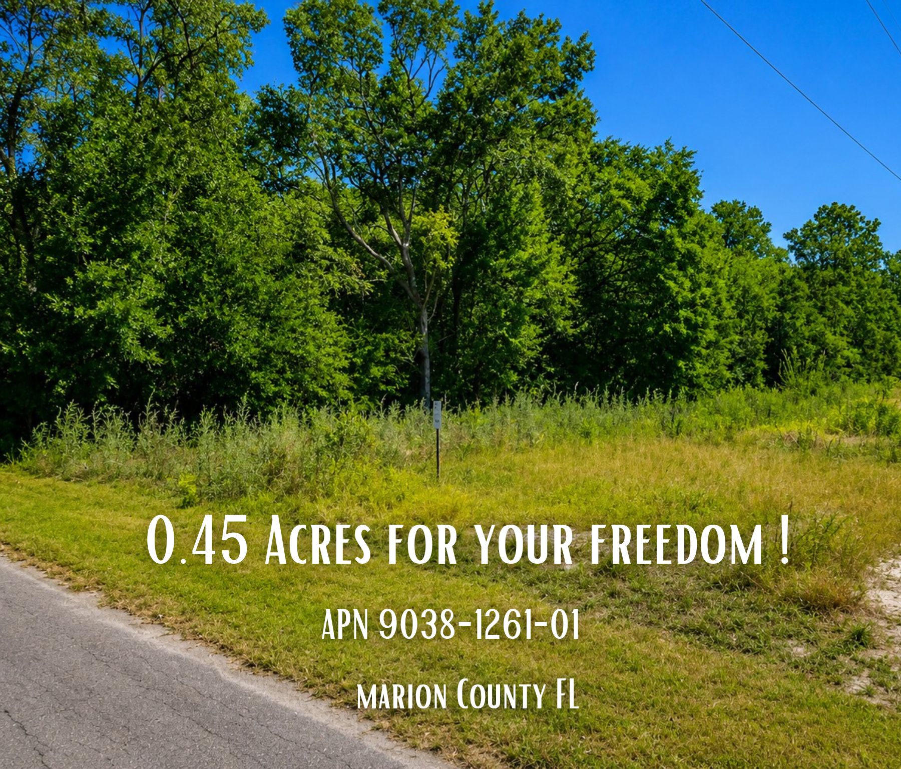 Your Florida Dream Starts Here—Own 0.45 Acres in Ocklawaha for Only $27,000! Call Us Now!   