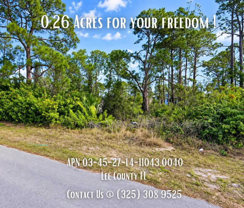 223 Victoria Ave S, Lehigh Acres, FL 33974 - 0.26 Acres - $18,900 (Seller Financing Available)