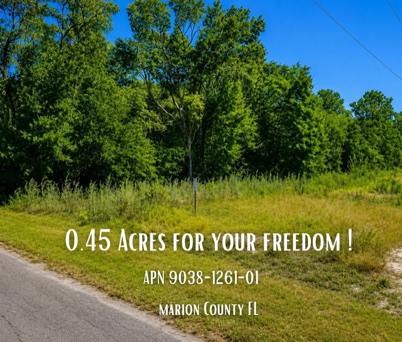 Your Florida Dream Starts Here—Own 0.45 Acres in Ocklawaha for Only $25,900! Call Us Now!   