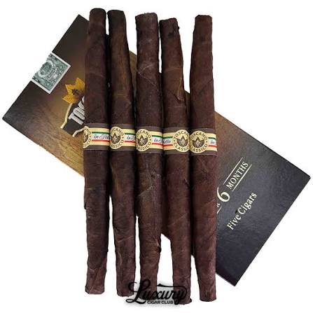 Classico Robusto