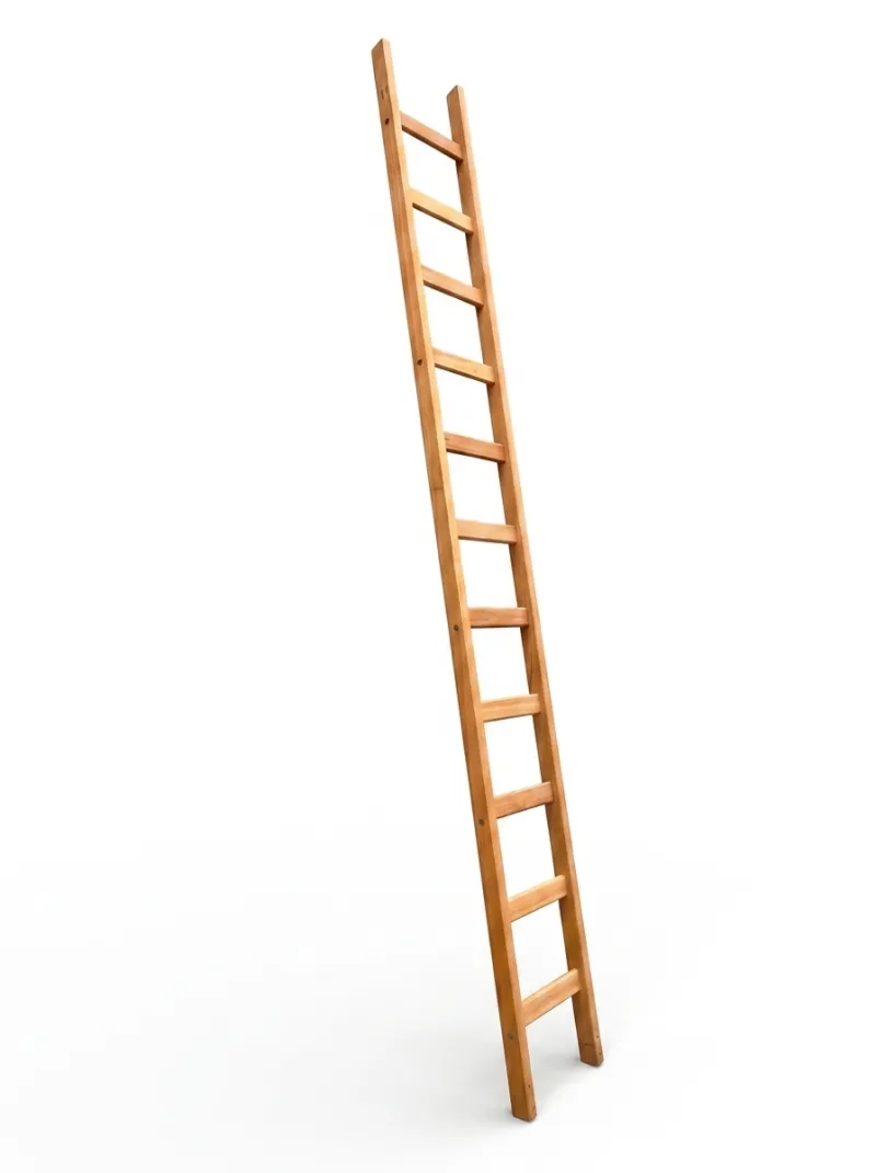 Escalera Industrial Tipo Paralela N°10 - Linea Industrial