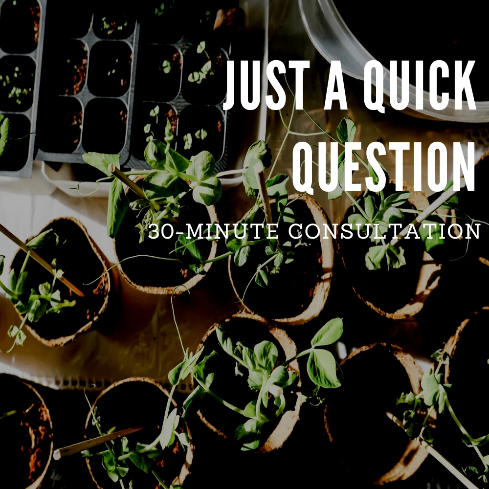 30 Min Virtual Consult