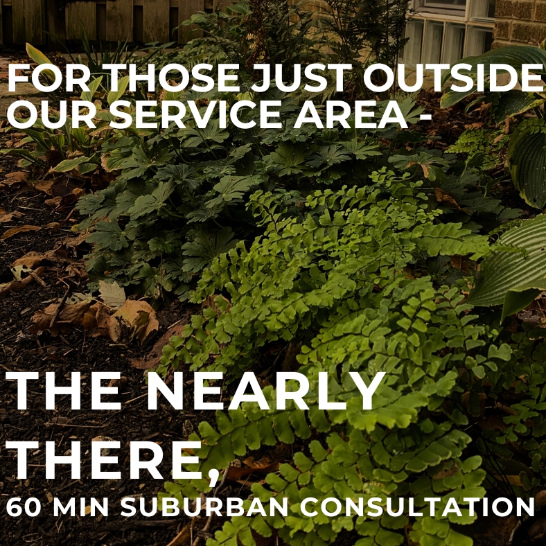 60 Min In Person Suburb Consult
