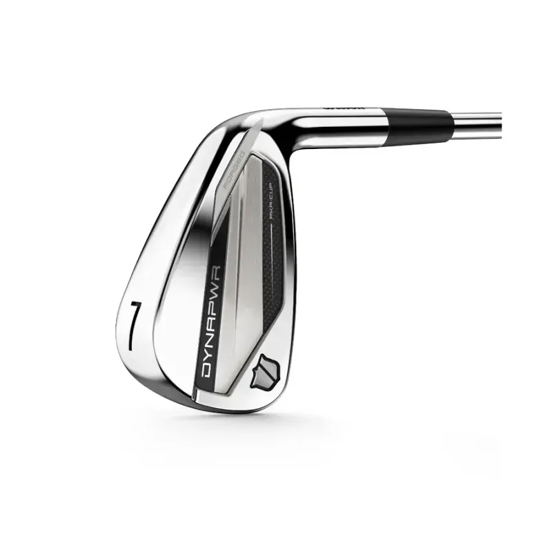 DYNAPWR Forged Steel Irons 4-PW