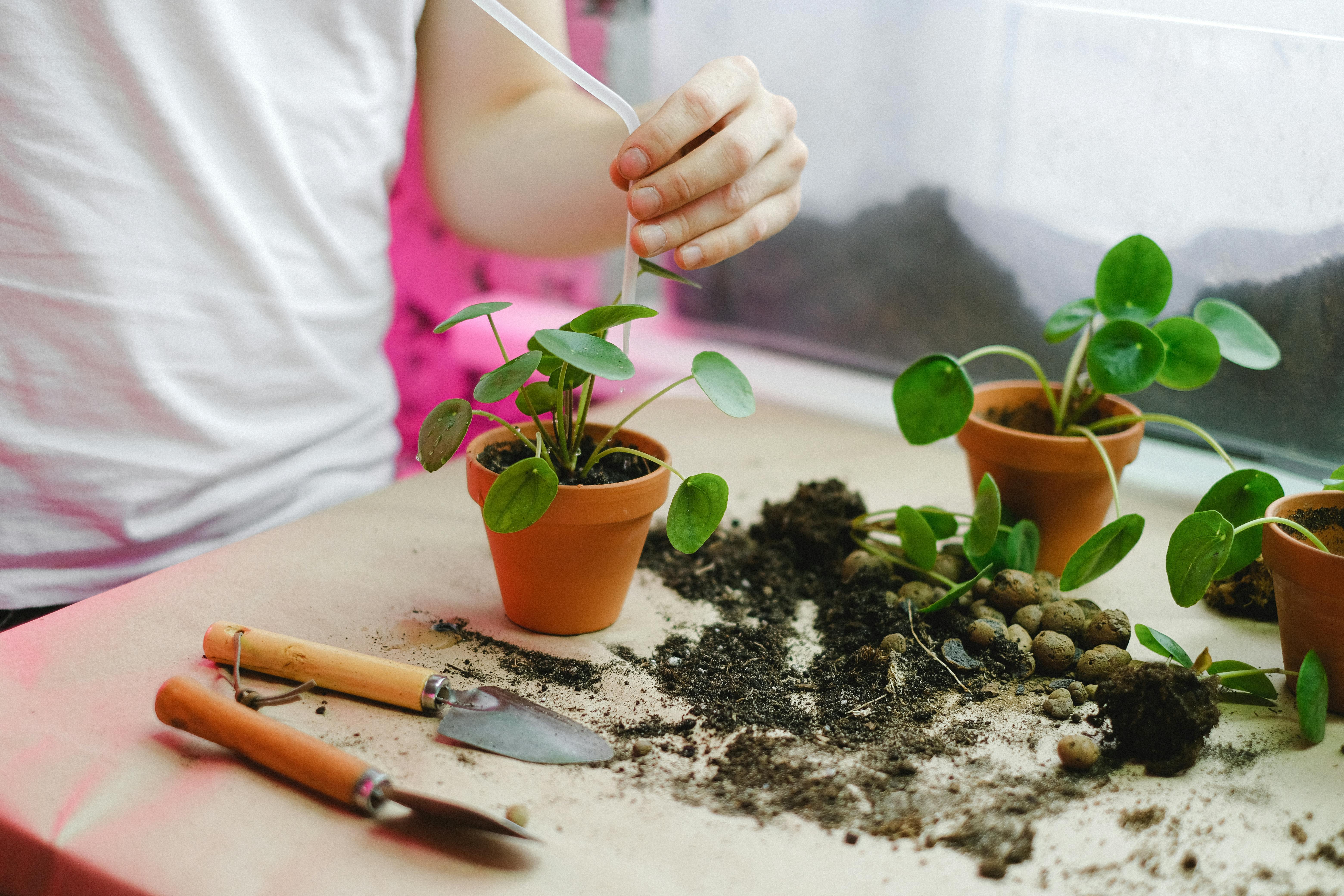 Garden Tools