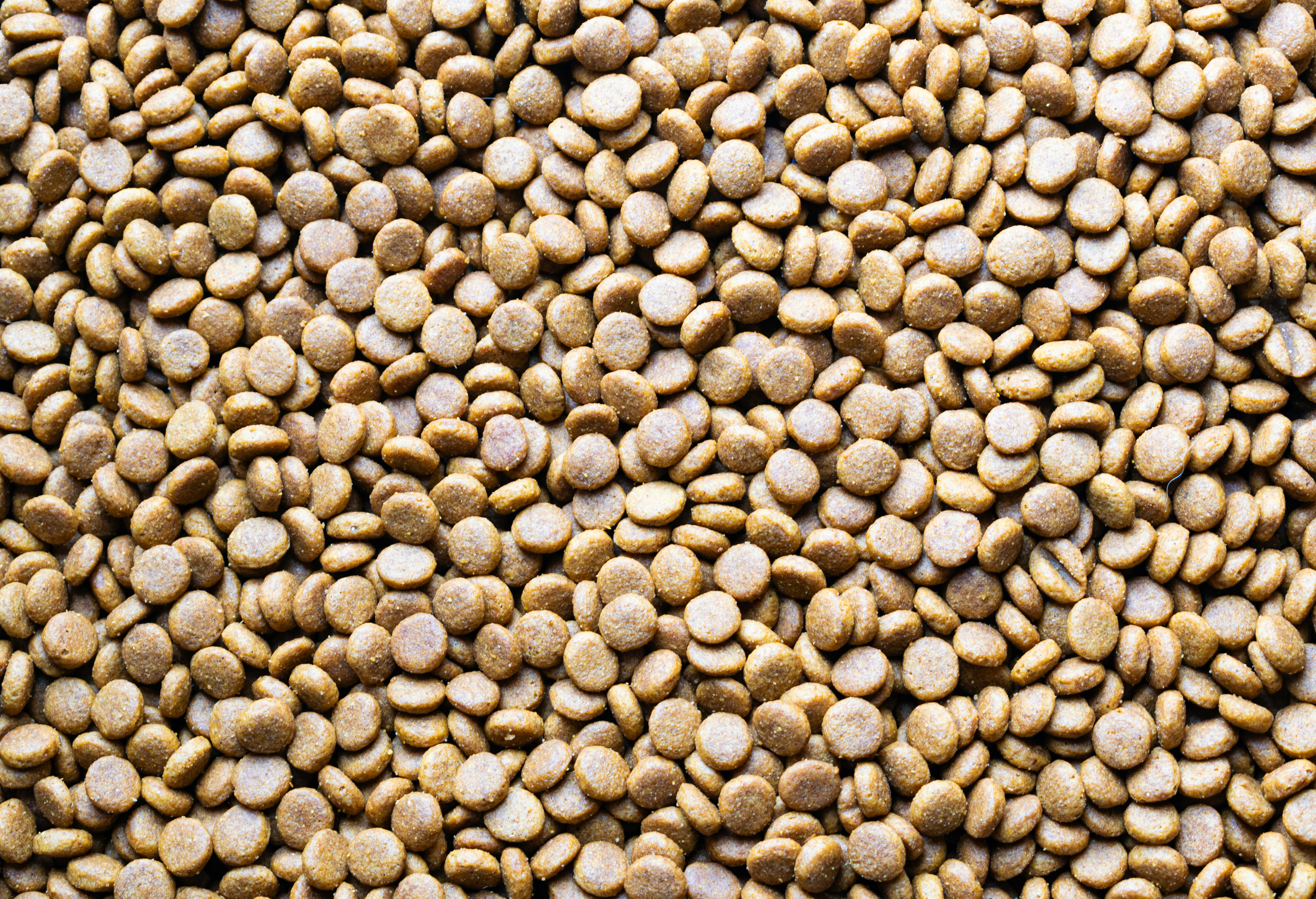 Animal Feed