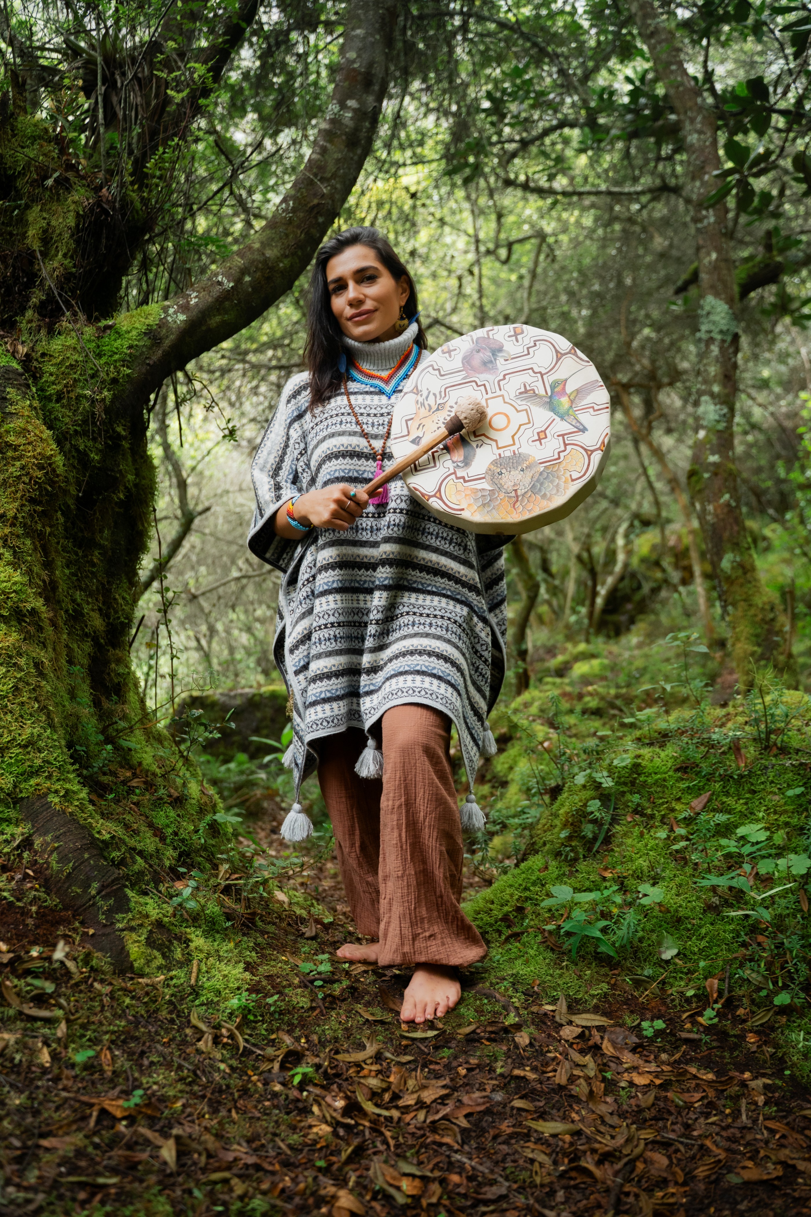 The Shamanic Path