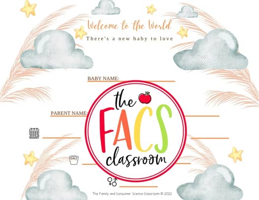 Birth Certificate for Child Development | Egg Baby | Infant Simulator | FCS