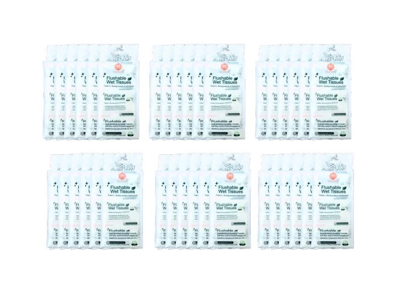Ultimate Freshness Stock-Up Bundle (36 Packs)