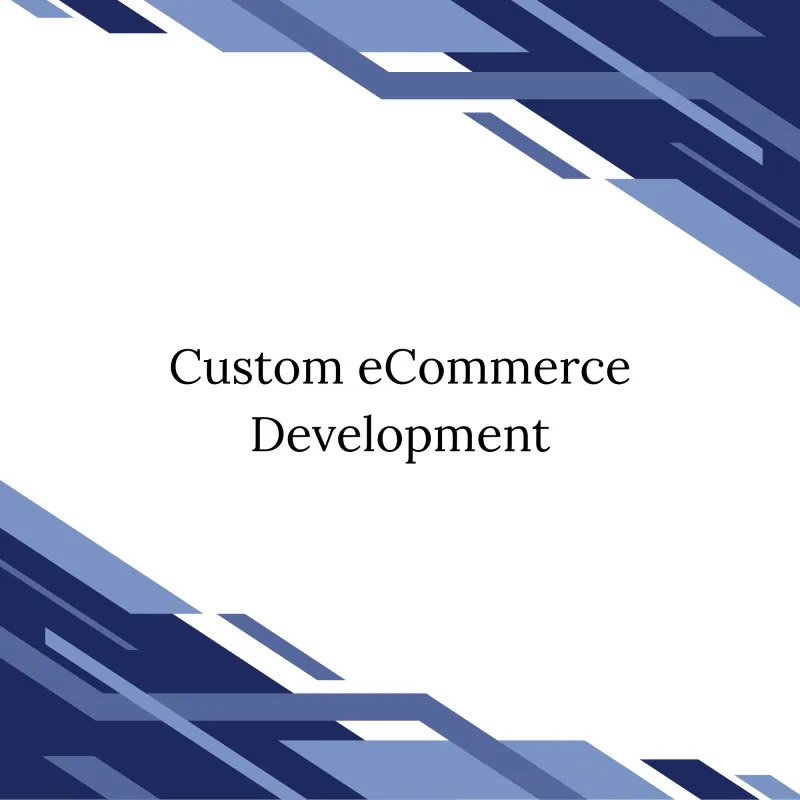 Custom eCommerce Development