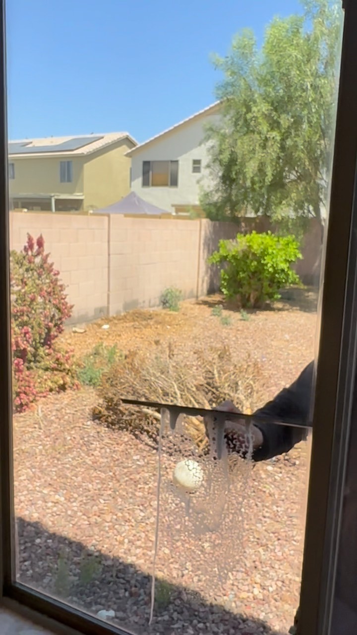 Backyard desert landscape with native plants Peoria AZ