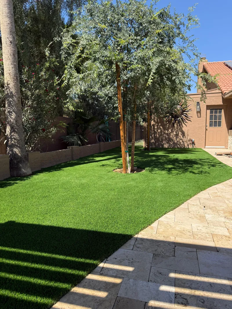 Lush artificial turf backyard with travertine patio and trees — turf installation Phoenix AZ