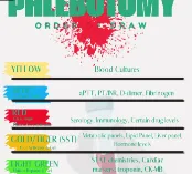 Phleb Order of Draw