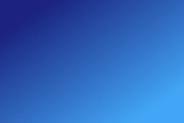 Referral Program