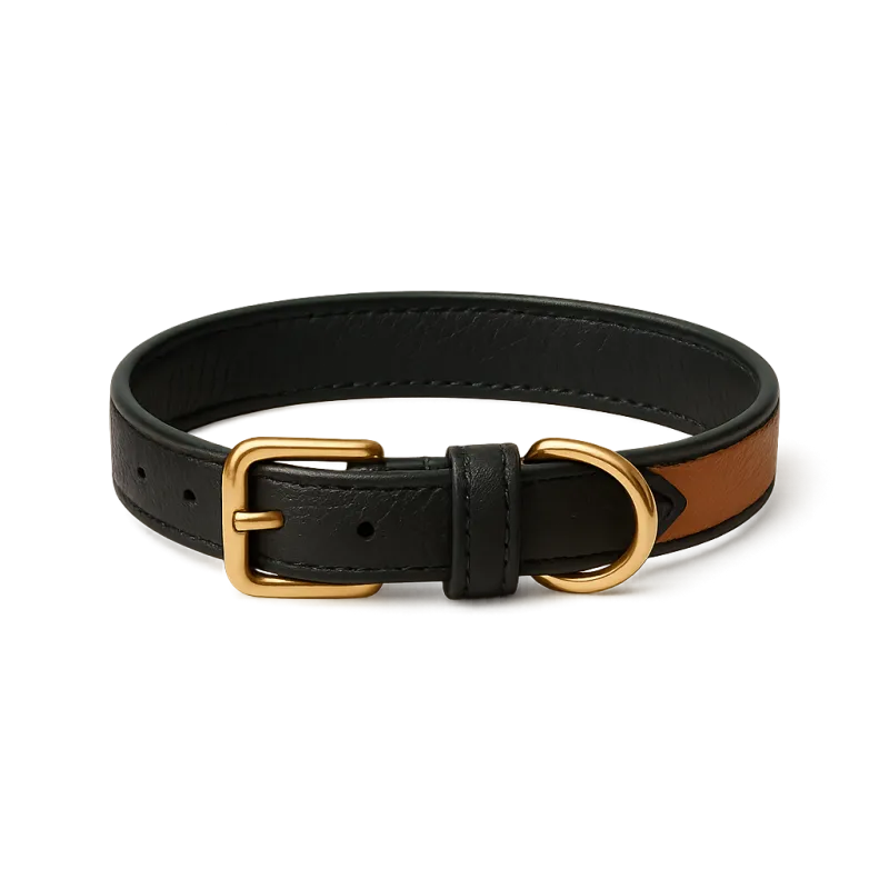 Designer Collars