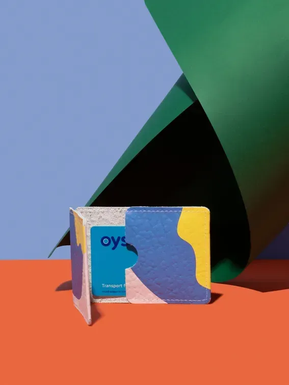 Travel Card Holder