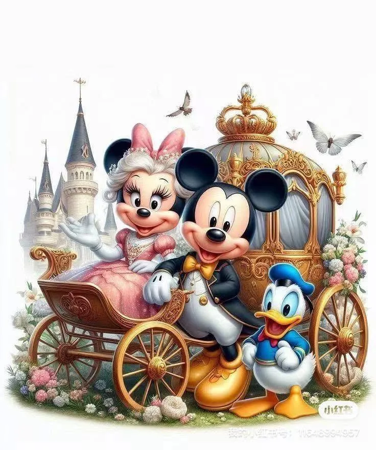 collection-image
