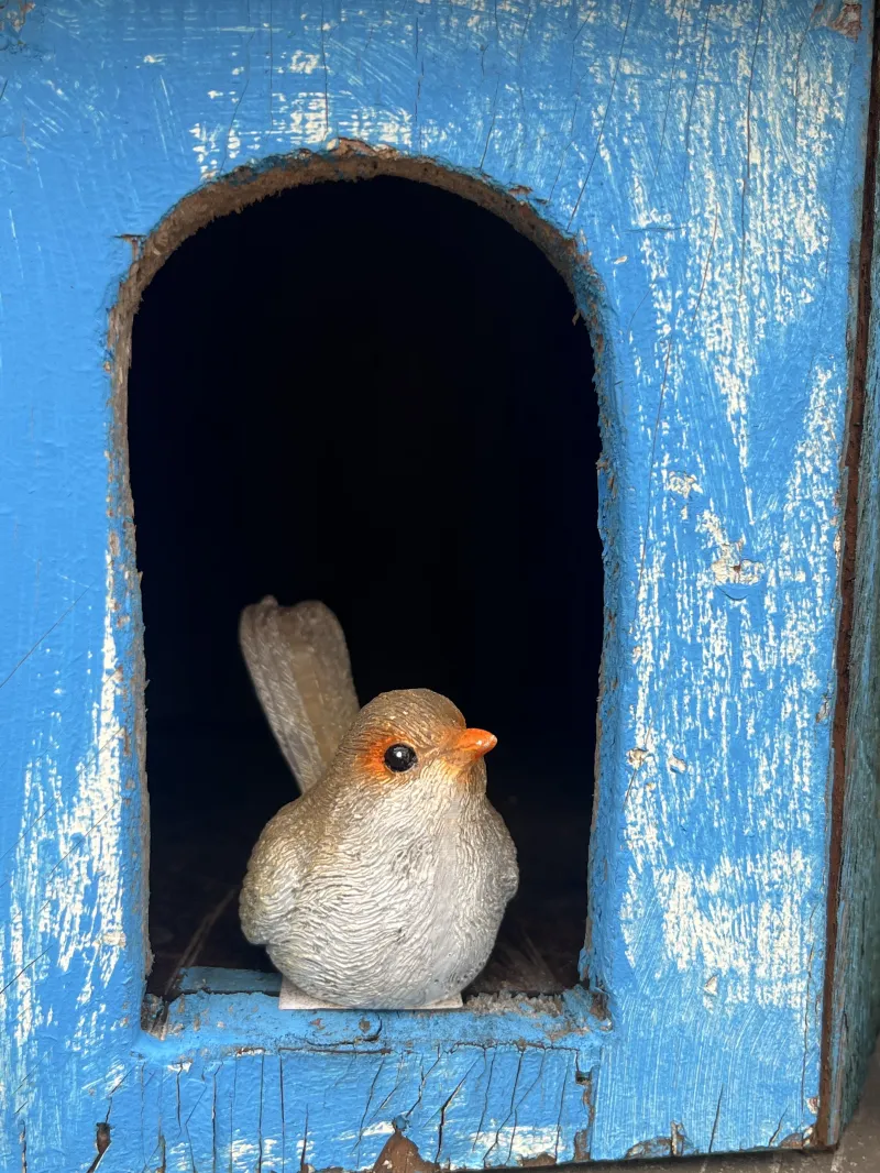 ecommerce.upsell.product_image_alt