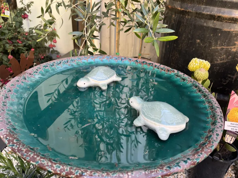 ecommerce.upsell.product_image_alt