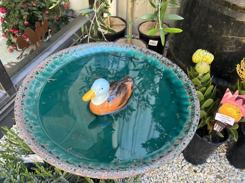 ecommerce.upsell.product_image_alt