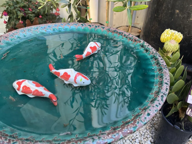 ecommerce.upsell.product_image_alt