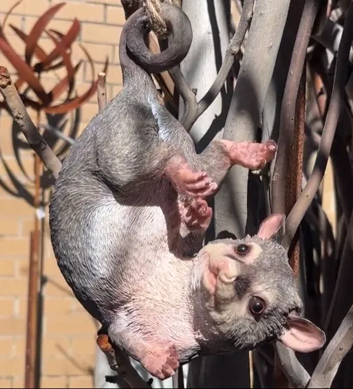 ecommerce.upsell.product_image_alt