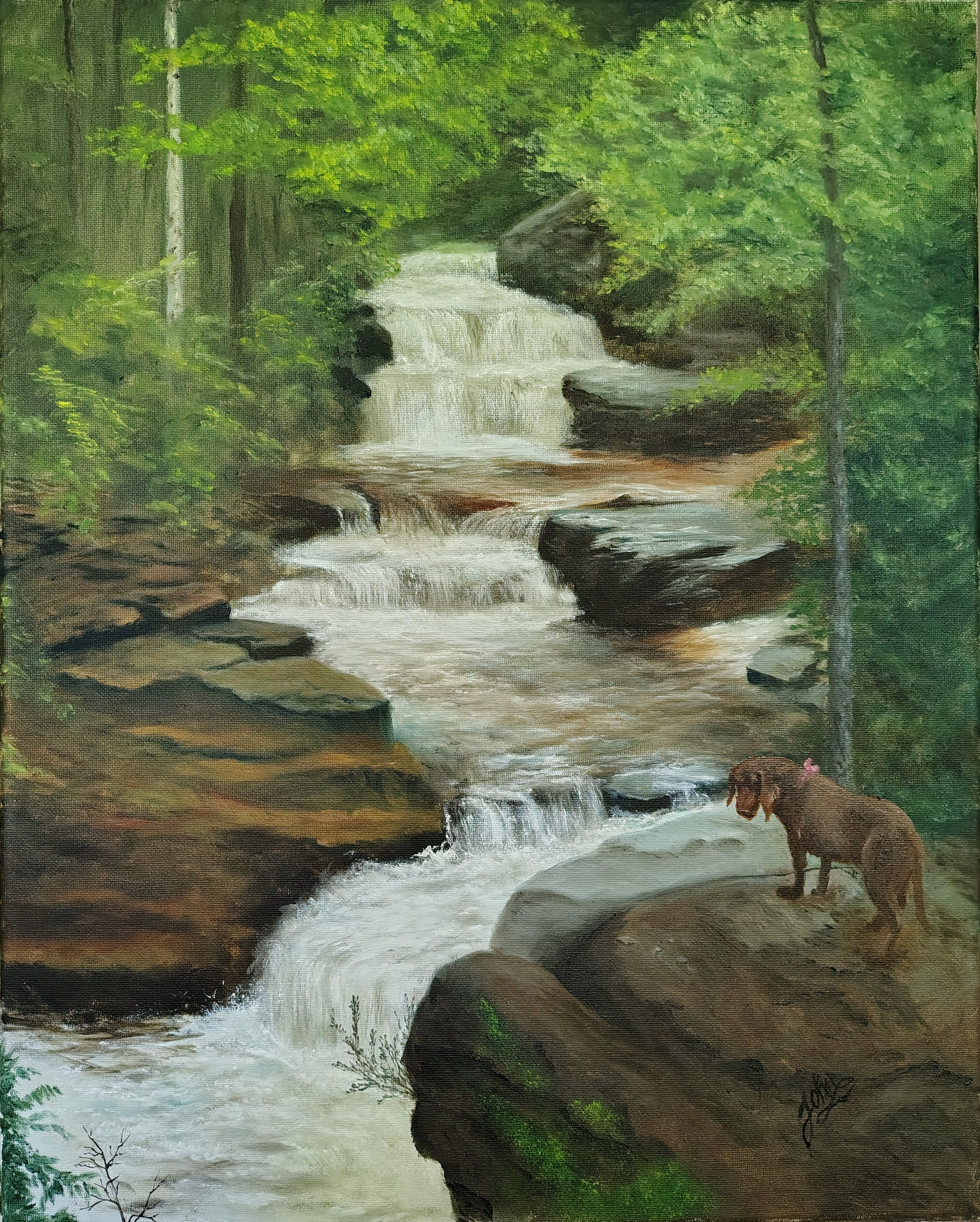 Baxter Waterfall