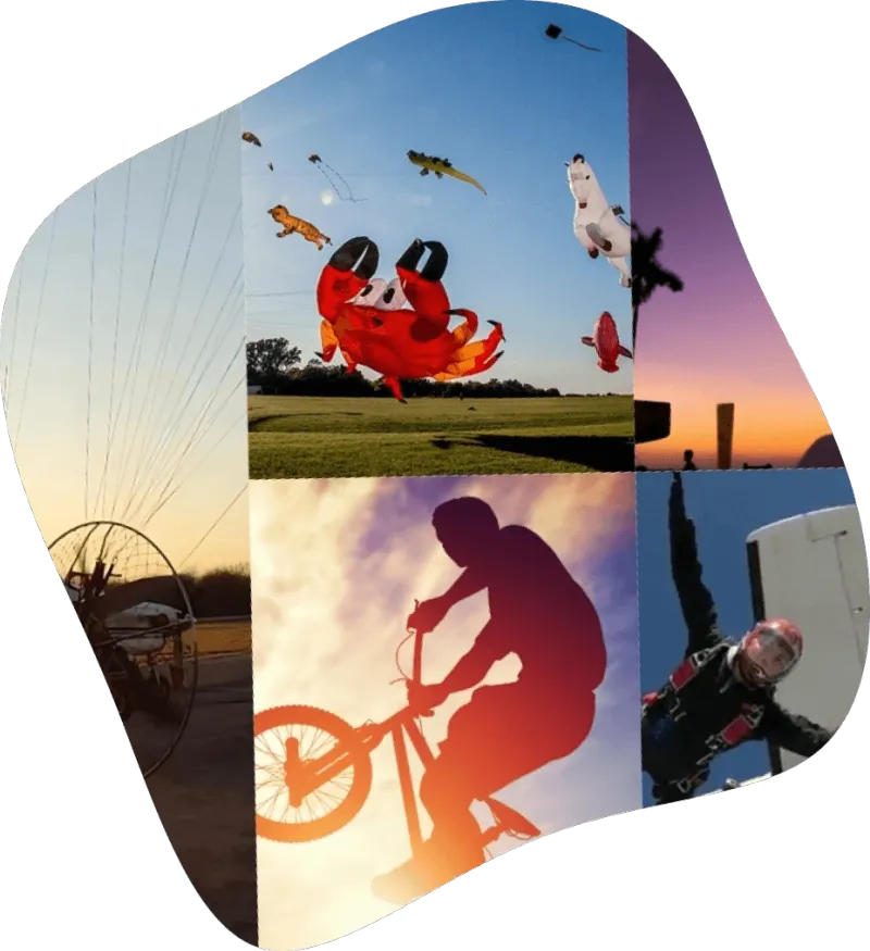 collection-image