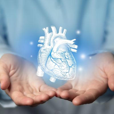 Cardiovascular